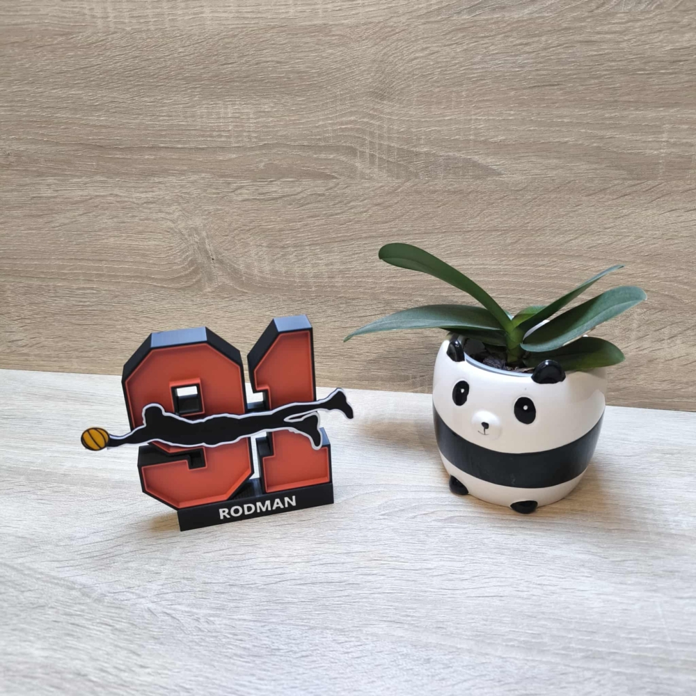 Kép 3/5 - Denis RODMAN Legendary Motion Szobor