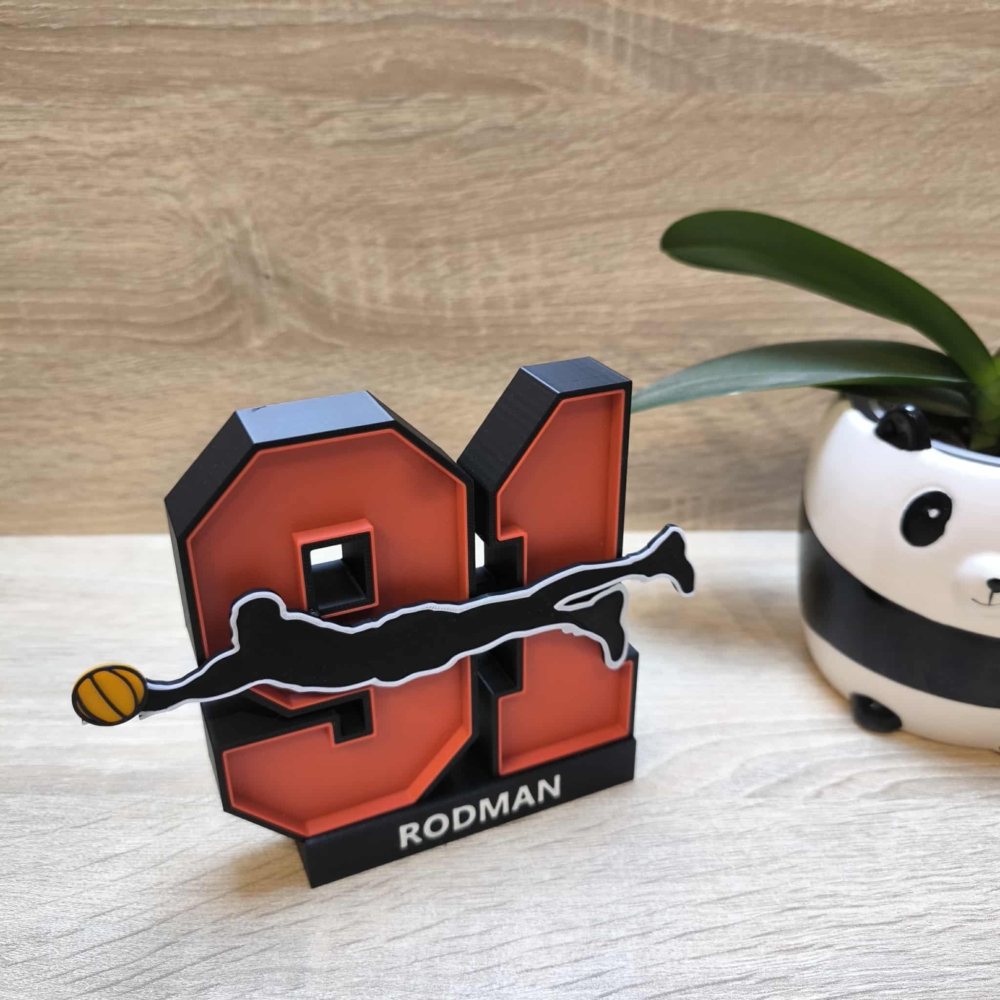 Kép 1/5 - rodman legendary motion