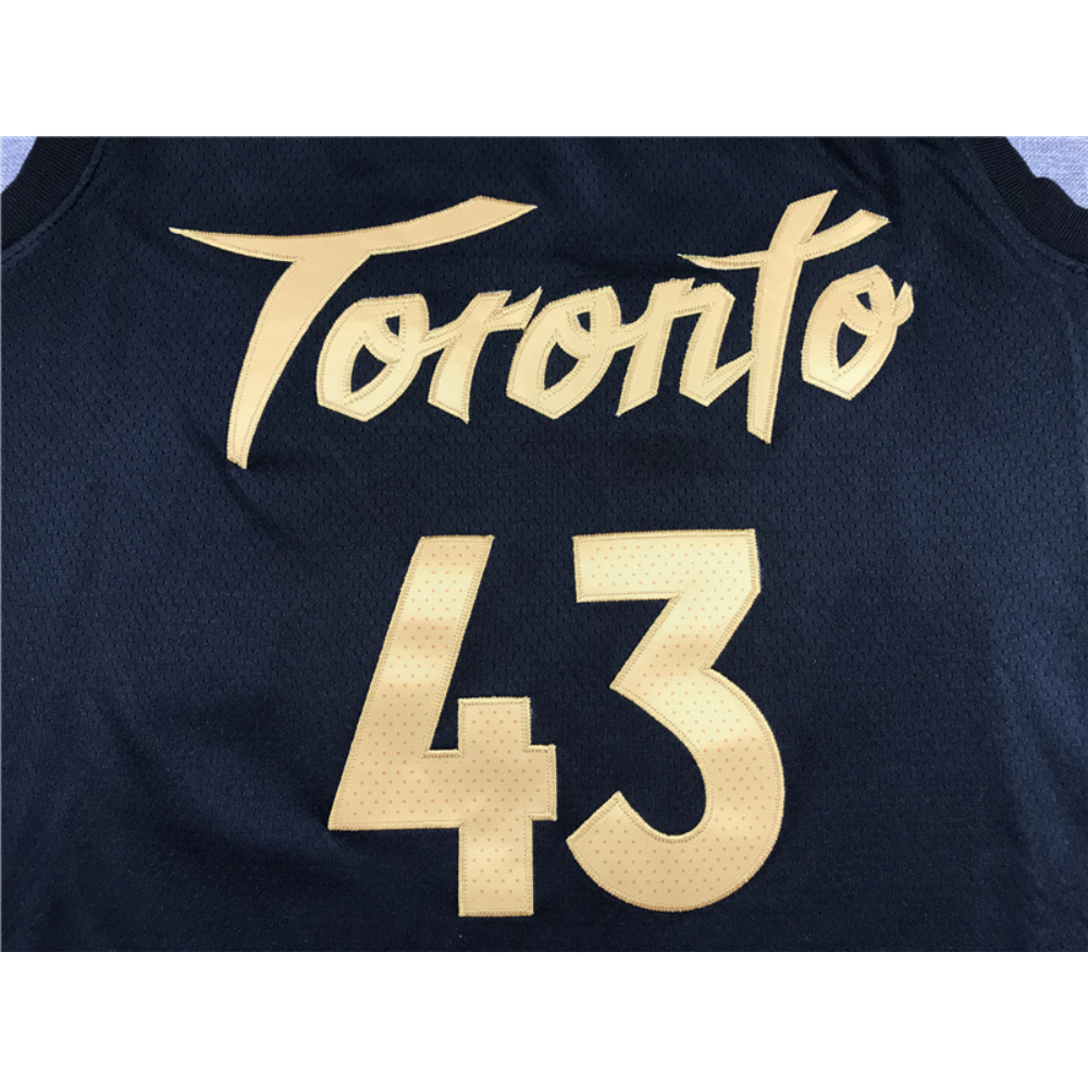 Kép 3/3 - Pascal SIAKAM 2019-20 City Edition Toronto Raptors mez