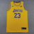 Lebron JAMES Icon Edition Los Angeles Lakers mez #23